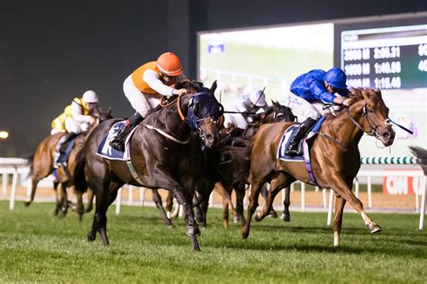UAE Super Saturday Prediction .
